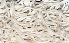 Tapete atrapamugre color blanco