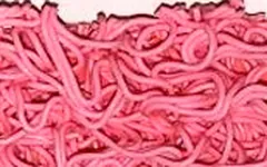 Tapete atrapamugre color rosado